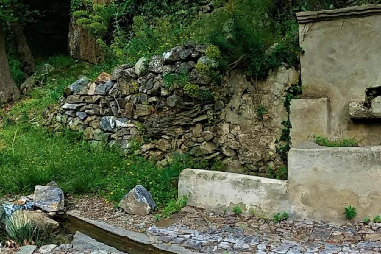Kefálion Casa Pappadiana Traditional Stonehouseヴィラ エクステリア 写真