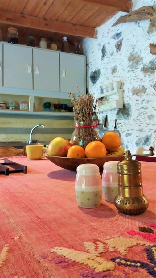 Kefálion Casa Pappadiana Traditional Stonehouseヴィラ エクステリア 写真