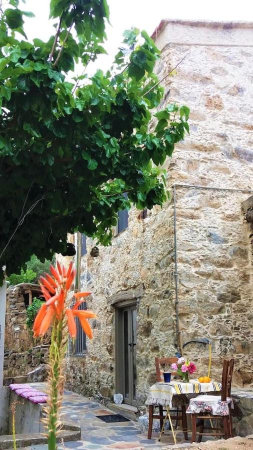 Kefálion Casa Pappadiana Traditional Stonehouseヴィラ エクステリア 写真